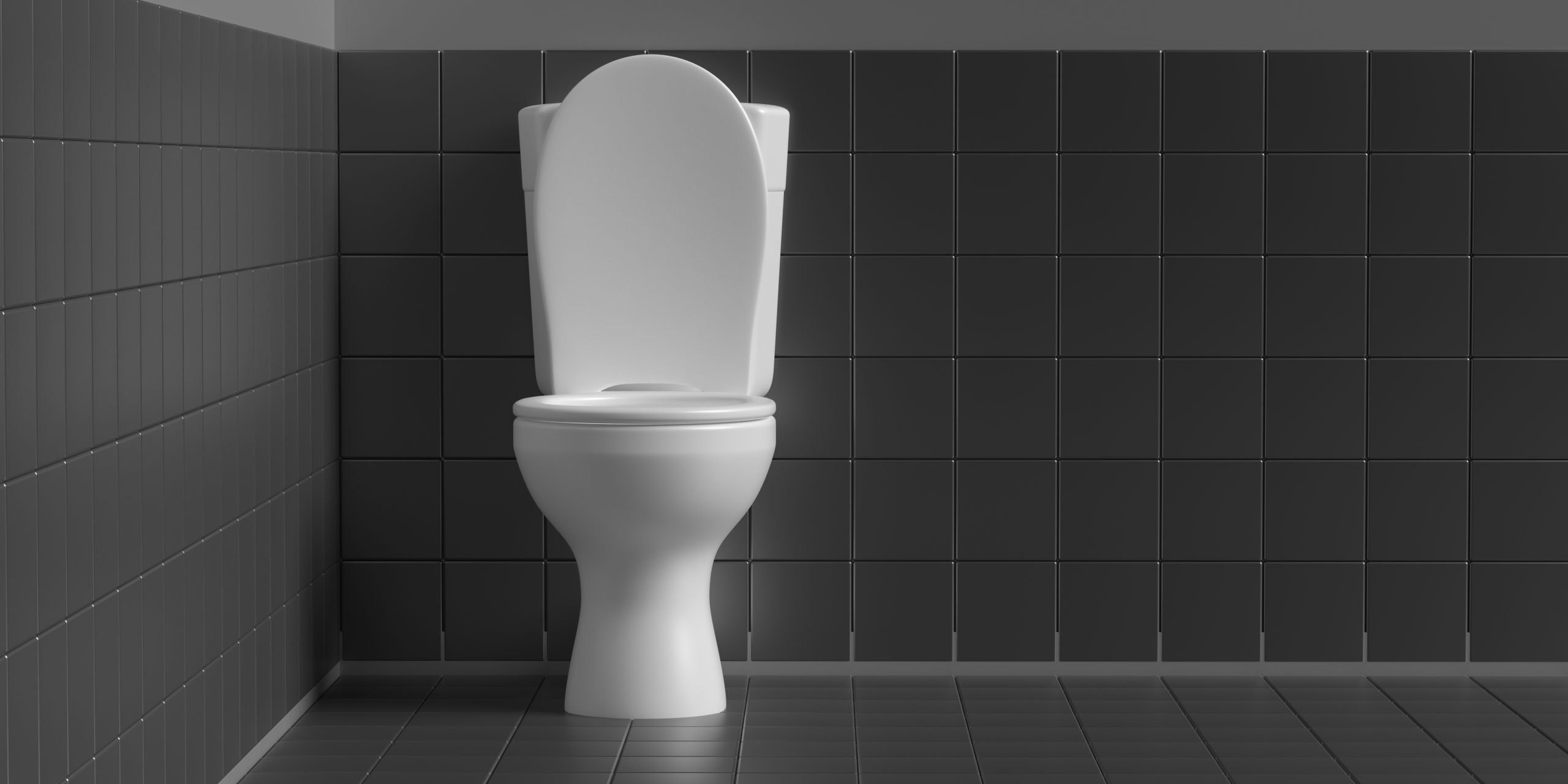 Toilet Installation Repair Services
